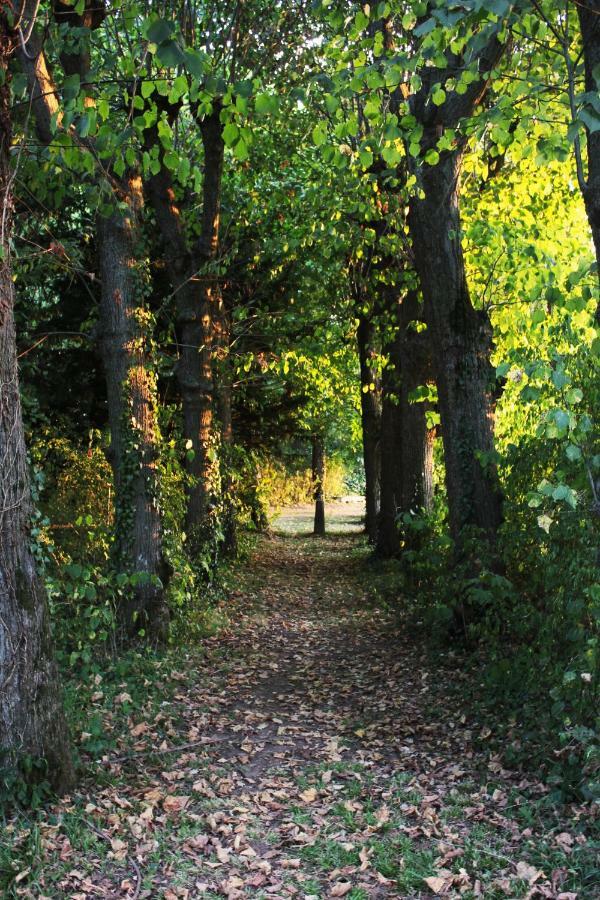 Domaine Des Lilas Saint-Germain-Lembron Bagian luar foto